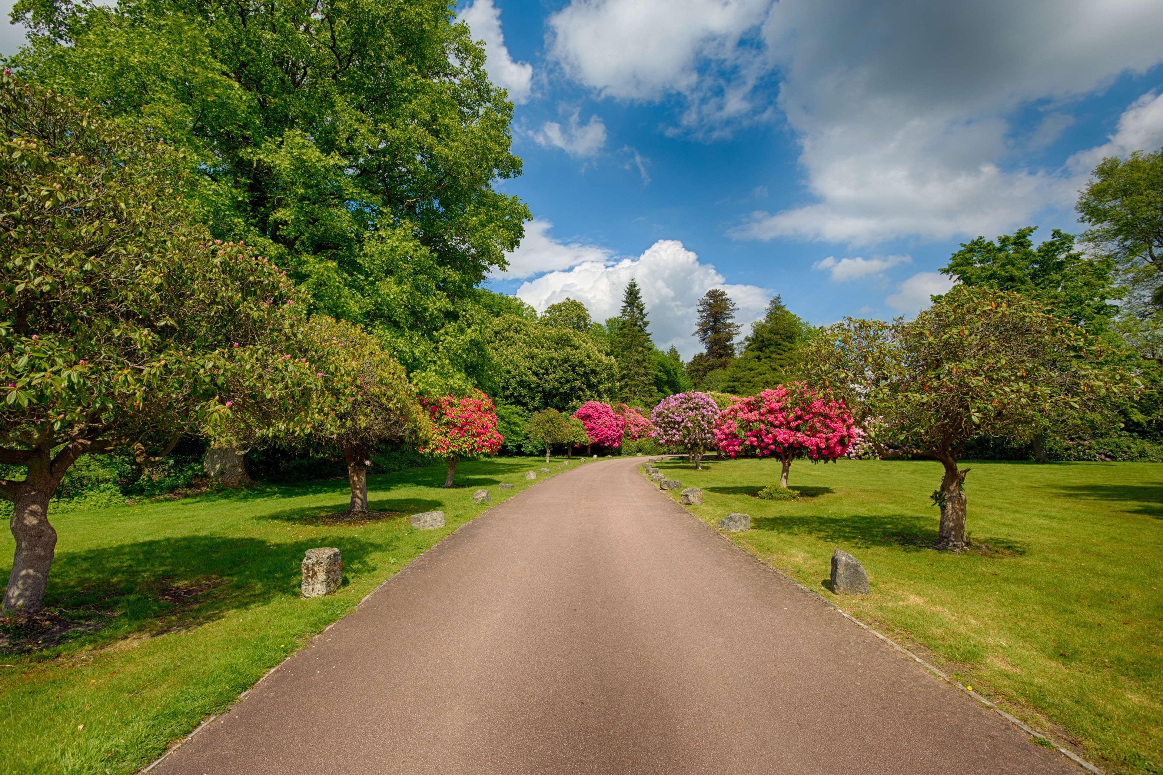 Hotel Western Chilworth Manor 3*
